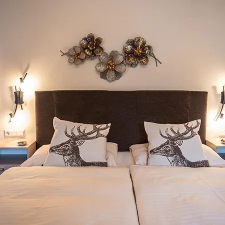 Hartenfels 4*