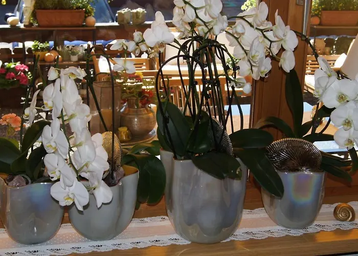 Hartenfels Bed & Breakfast